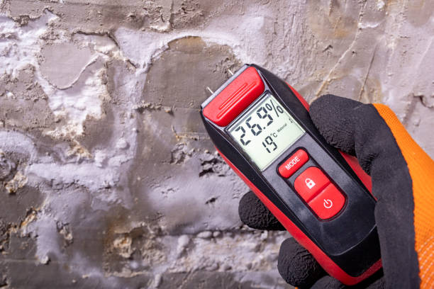Best Commercial Mold Remediation in Nocatee, FL
