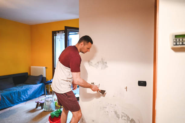 Best Residential Mold Remediation in Nocatee, FL